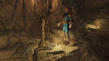 Fallout 76 2024 Fresh Dweller Beginner