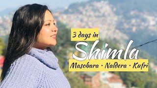 Tourist places in Shimla | 3 Days itinerary BUDGET plan | Kufri | Naldera | MASOBARA  Saachi & Rahul