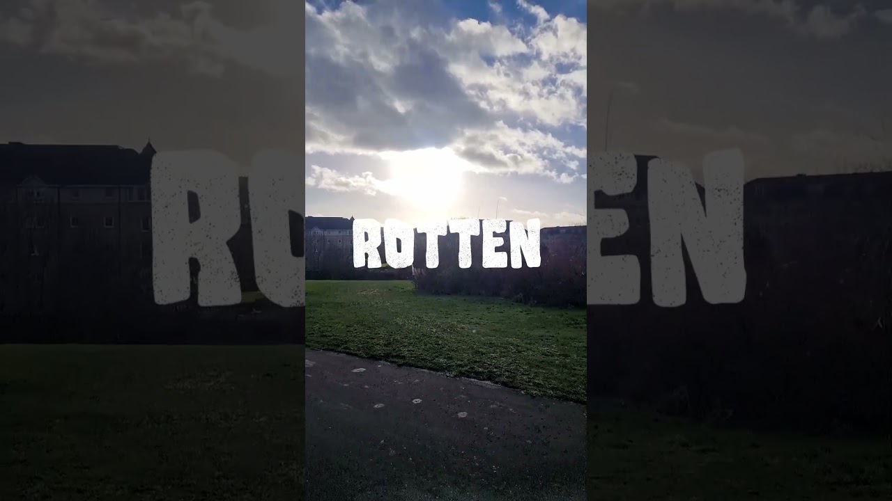 Rotten Lyrics Video 