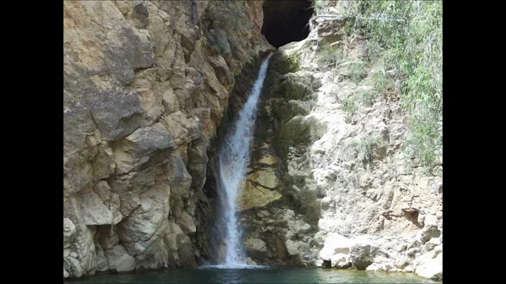 PORFIRIO ORTIZ ...LA SIERRA DONDE NACI .wmv