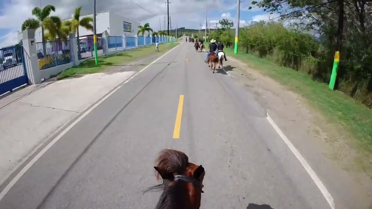 Primera del año con los de negro Guayanila PR