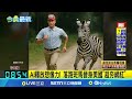 科技與社會議題