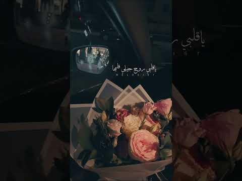 راغب علامة ياريت فيي خبيها