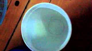 How To Make A Milo Oats