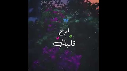 ارح قلبك بصوت القرآن - القارئ هزاع البلوشى ❤💌 حالات واتس اب دينية