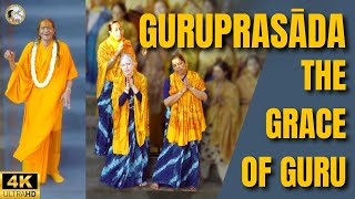 4K Guruprasada (Grace of Guru) FILM DOCUMENTARY | Jagadguru Kripalu Parishat