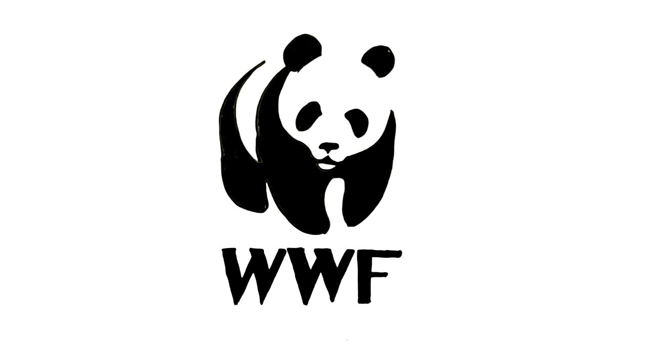 How to Draw the WWF Logo - YouTube