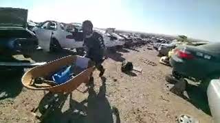 Junkyard Run in Albuquerque NM. Checking out the import section and connected with Buster Brown