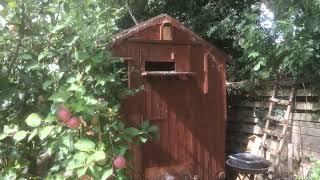 Small pigeon loft tour. White Homers. Pete Carter.