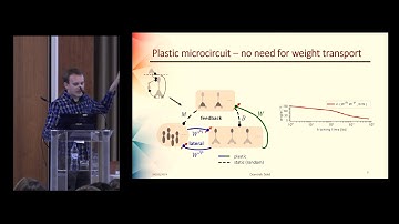 Dominik Dold - Lagrangian dynamics of dendritic microcircuits enables backpropagation (Cosyne 2019)