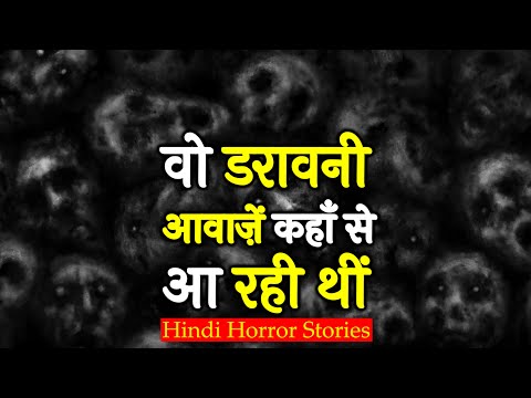 वीडियो: रेकून डॉग का फैसला है कि वह नोबोडिस शिकार नहीं है और हैगरी चीता पर टेबल्स बदलता है