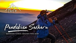 Gunung Semeru Part3 | Menggapai Puncak Abadinya Para Dewa