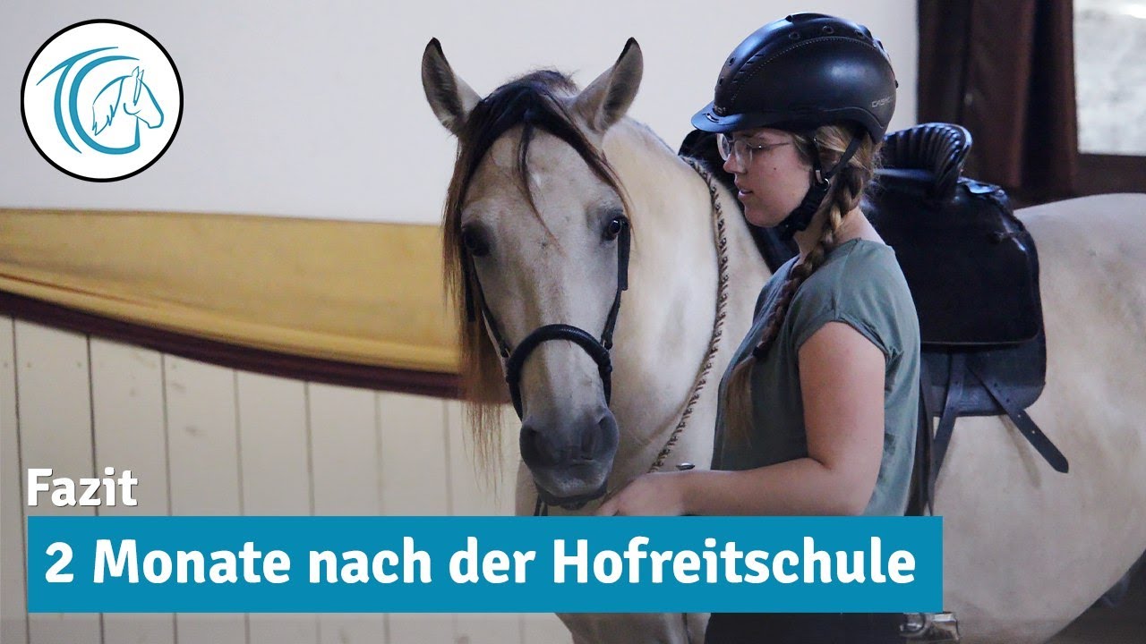 Hofreitschule Bückeburg - Fazit zu meiner Zeit als Weekstudent