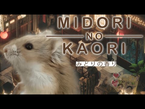 Eimi Isami plays Midori no Kaori video thumb