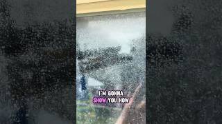 How to remove hard water stains from windows