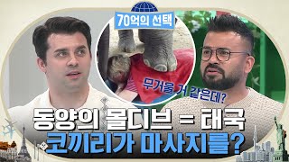 동양의 몰디브=태국★ 코끼리가 마사지를 해준다구요?ㅇ0ㅇ(feat. 뱀 마사지) #70억의선택 EP.10 | tvN 220630 방송