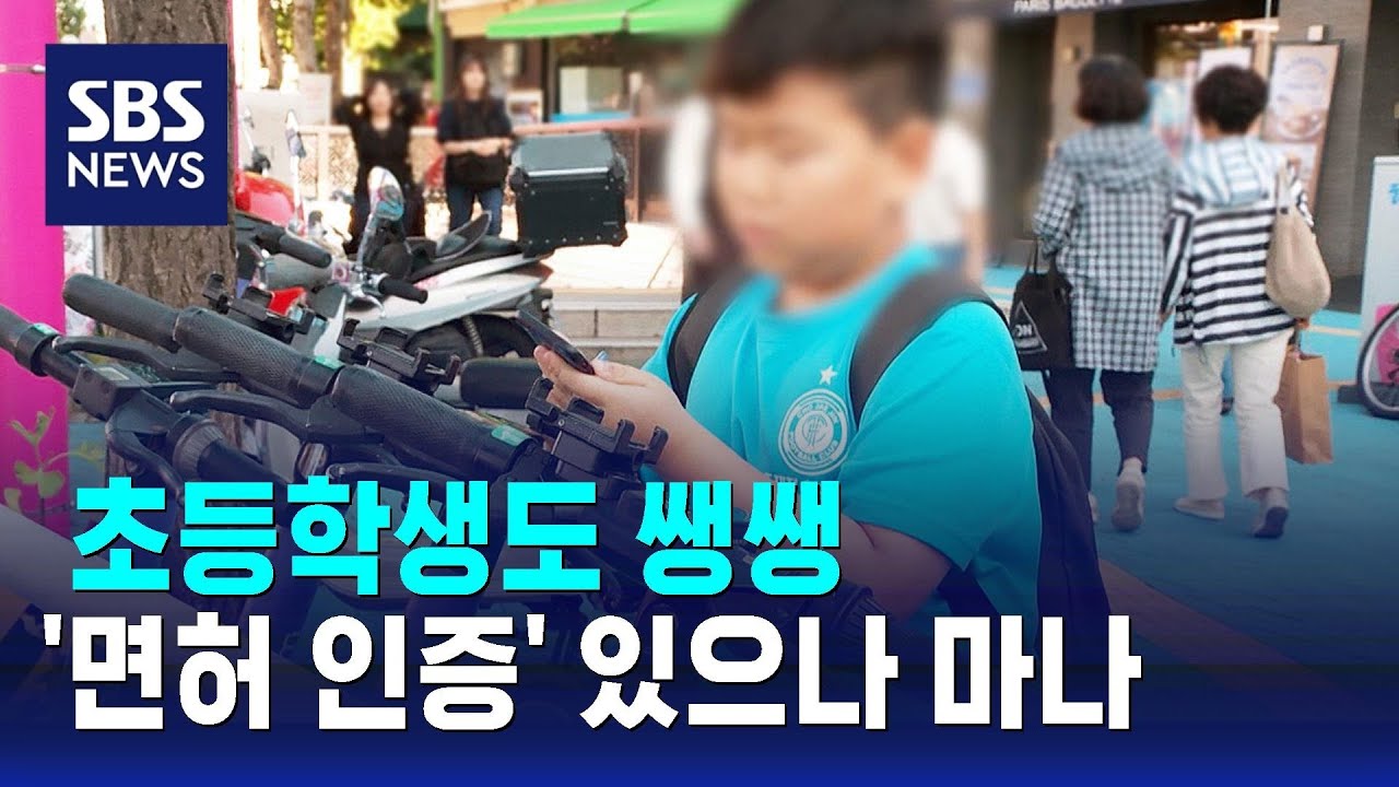 ⁣초등학생도 쌩쌩…전동킥보드 '면허 인증' 있으나 마나 / SBS