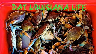 Using Set Nets to Catch Louisiana Blue Crabs! (Catch & Cook)