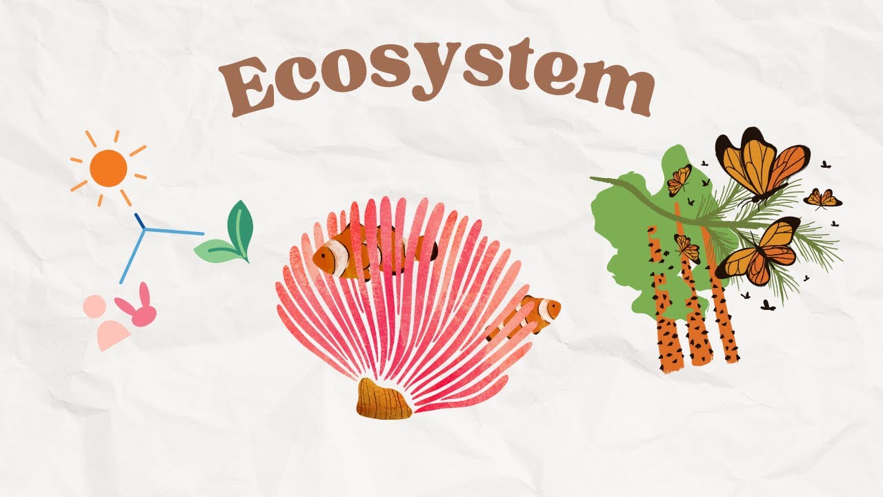 Ecosystem - YouTube