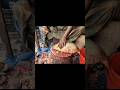 Live Big Size Carp Fish Cutting Skills In Bangladesh Fish Market