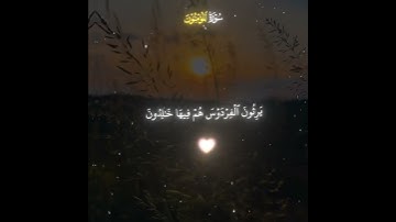 اذكر الله | قدر تعبي بأشتراك، #ياسر_الدوسري #quran #قرآن #تلاوة_خاشعة #دويتو