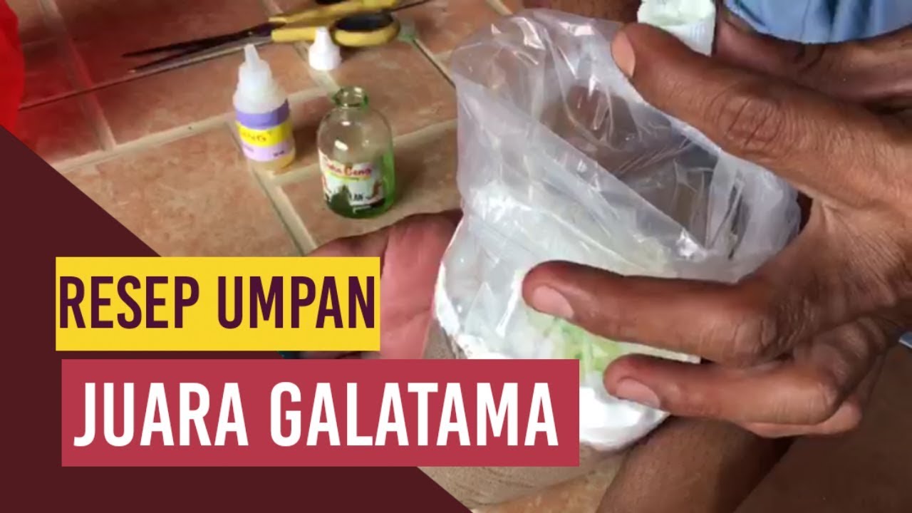 RESEP UMPAN JUARA MANCING GALATAMA PATIN | MANKLIK