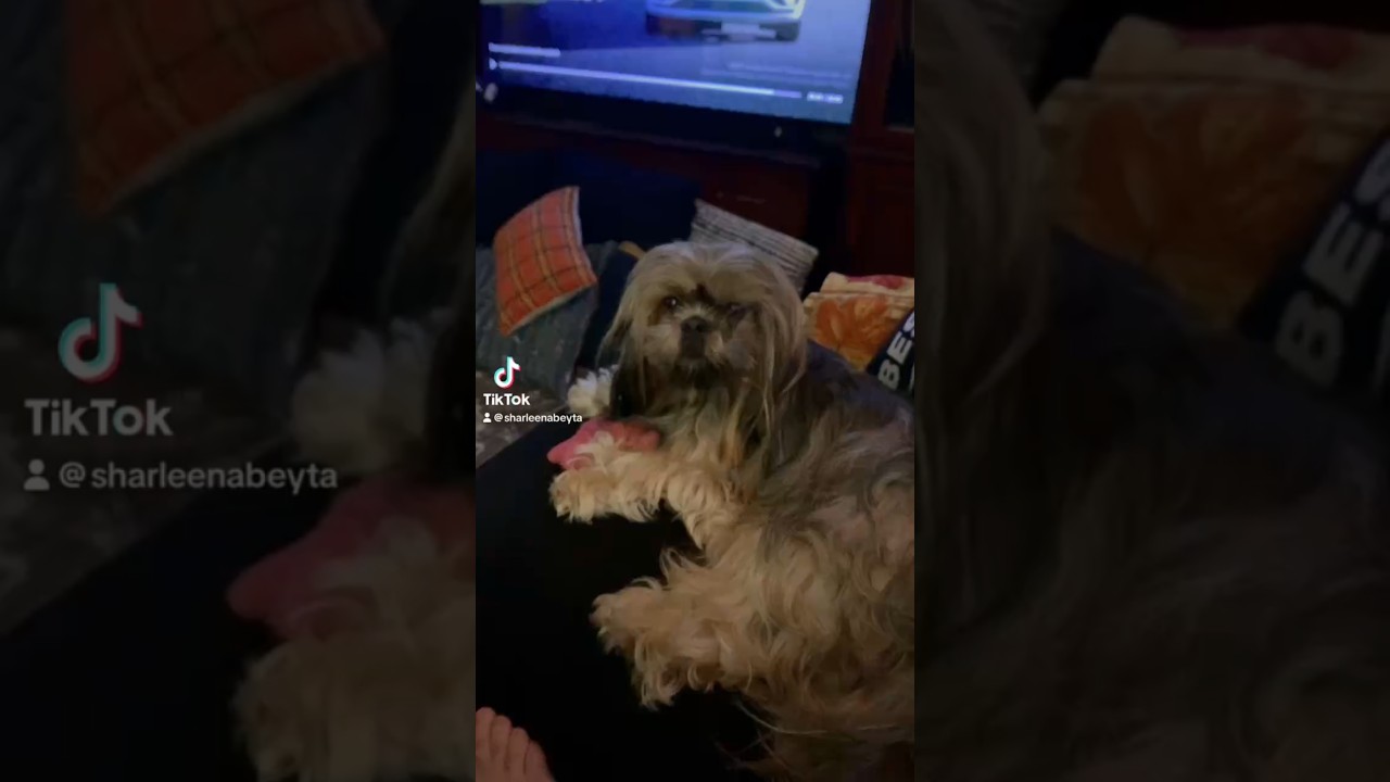 Kash is battling demons 