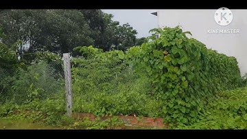 (Đã bán)Bán nền đất ở mặt tiền đường nhựa bùi văn sự giá tốt nhất khu vực hiện tại