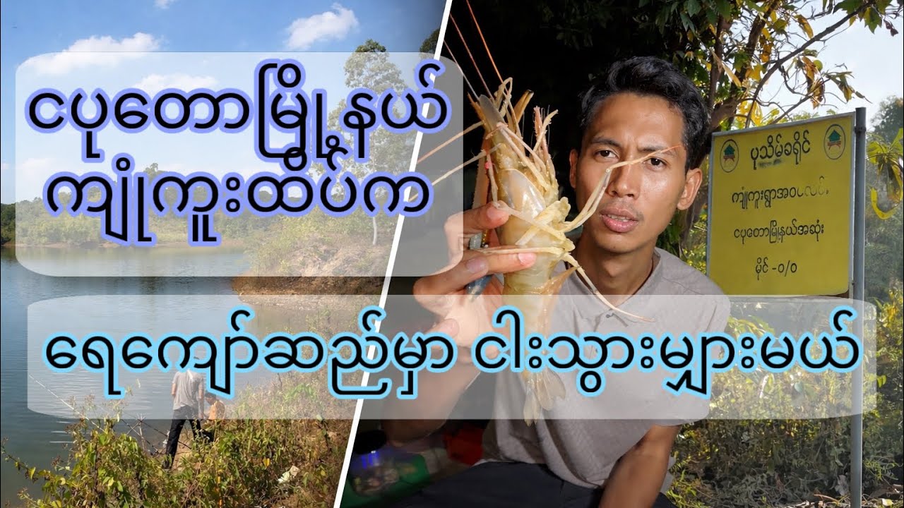 ငပုတောမြို့နယ် ကျုံကူးထိပ်က စမ်းကြီးဆည်ခေါ် ရေကျော်ဆည်မှာ ငါးသွားမျှားမယ်။ #vlogbykokyaw #fishing 