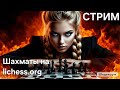 Andrew Po в прямом эфире!