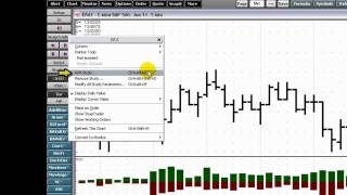 Overview of CQG Basic Studies