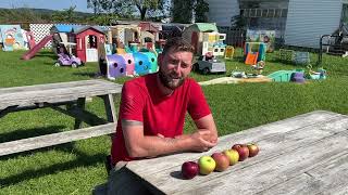 Exploring Chris's Farm Stand Apple Orchard with Andrew Stasinos | Haverhill, MA