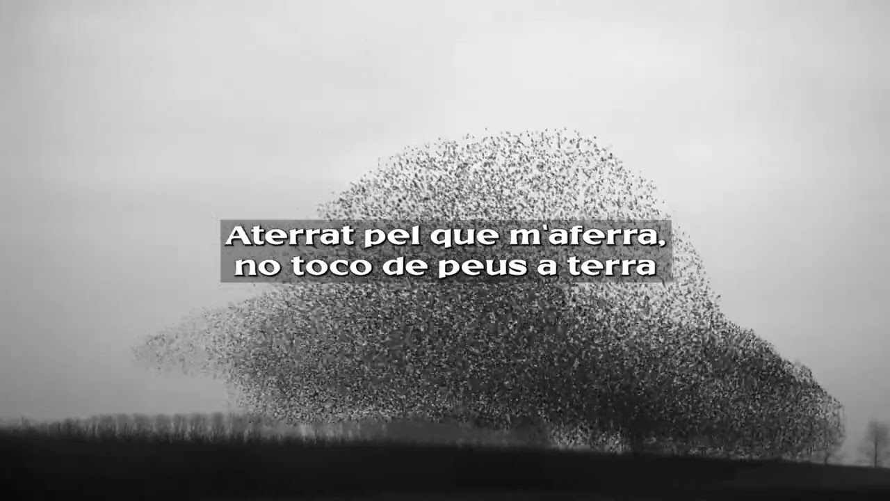 06 - El Meu Moment de Llum (Ocell de Foc) EROL URBÀ X LA PAKI