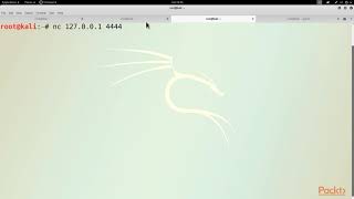 Basic and Low-level Python Network Attacks : The Course Overview | packtpub.com