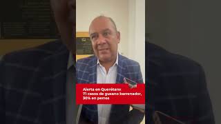 71 casos activos de gusano barrenador