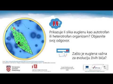 Video: Obavljaju li svi organizmi stanično disanje?