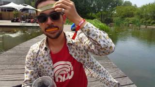 TNW Conference 2016