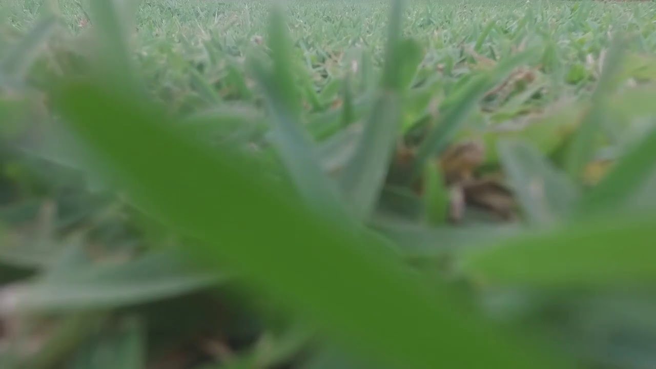 Drone Aerial Photography Palm Beach