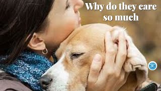 Our dogs prove they are more than pets, they are family! by Simple Dog Facts 281 views 1 year ago 9 minutes, 16 seconds