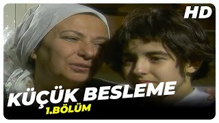 Küçük Besleme - 1.Bölüm