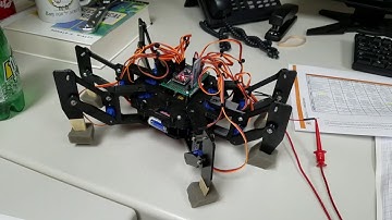 Hexapod Robot First Test (sg90 servo)