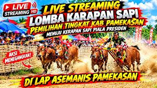 Live Streaming lomba Karapan Sapi Pemilihan Tingkat Kab Pamekasan Di lap Asemanis