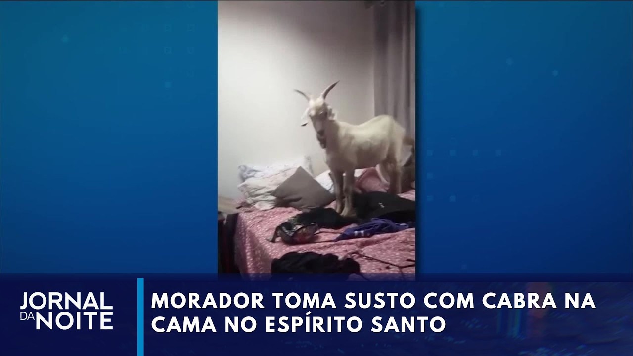 Morador toma susto com cabra na cama no Espírito Santo | Jornal da Noite