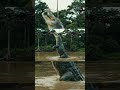 Epic Battle! Crocodile Pulls Two Drones Into the River 🐊🚁 #aivideo #drone #shortsvideo #shorts