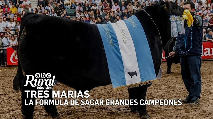 Cabaa Tres Maras de Horacio F. Gutirrez la frmula ...