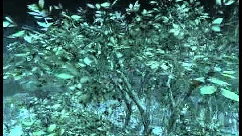 Black Ops Spawn Tomahawk SND on HANOI TO THE FACE