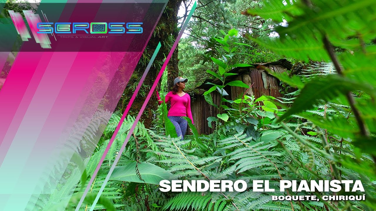 Эль пианиста тропа карта