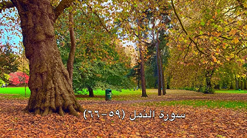 سورة النمل : من الاية ٥٩ الى ٦٦                  Surah al naml : from 59 to 66