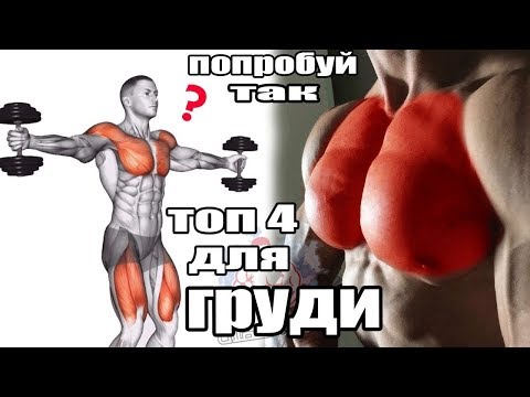 Как накачать мышцы грудины гантелями в домашних условиях