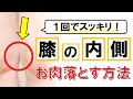 膝の内側のお肉を落とす方法 #22